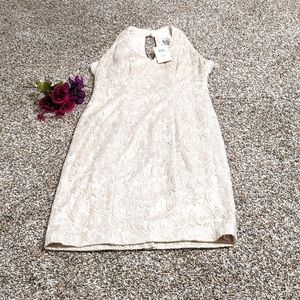 Cache Dress NWT